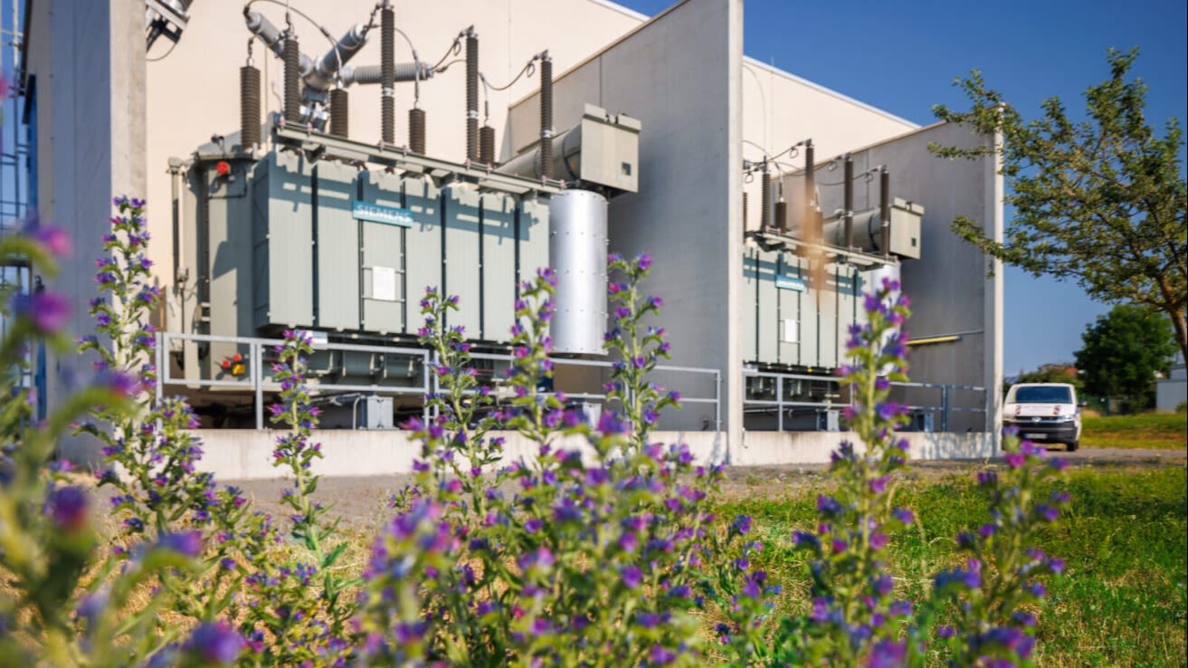 Transformatorenstation mit blühenden Pflanzen im Vordergrund.