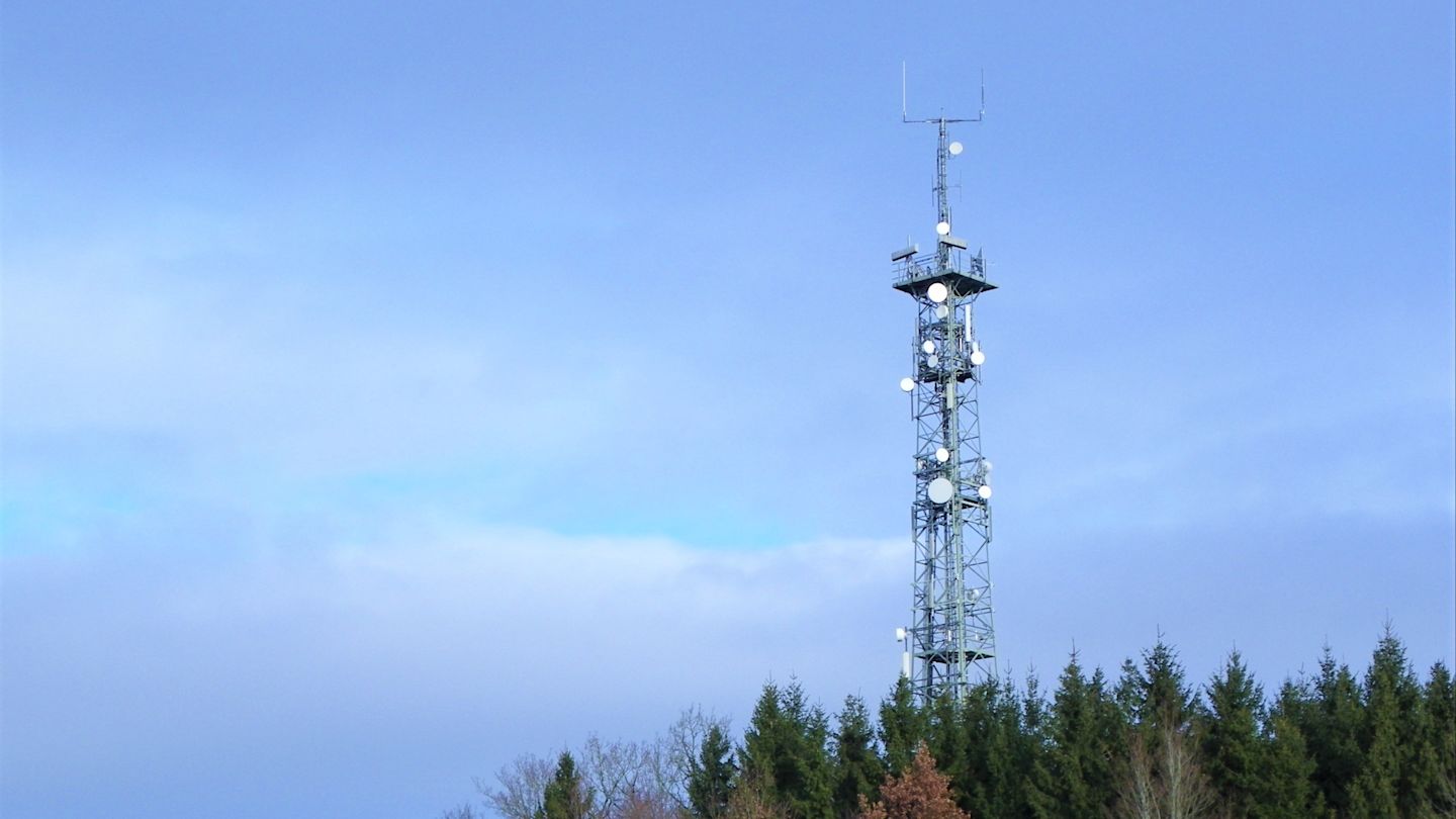 Funkmast vor Baumkronen.