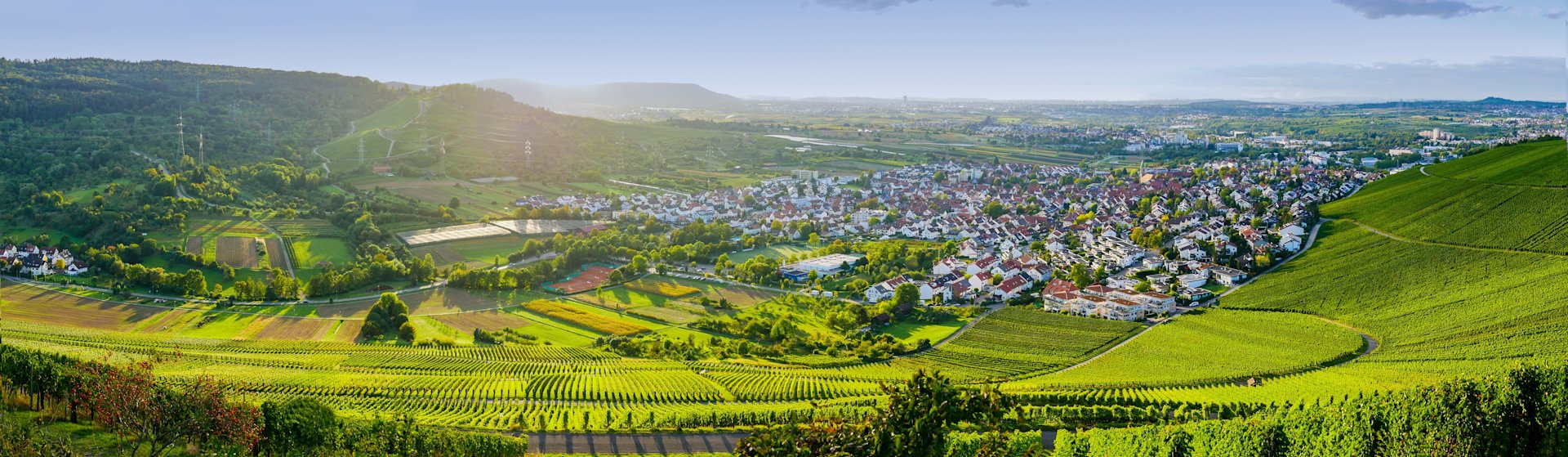 Weinberge und Dorflandschaft bei Sonnenuntergang.