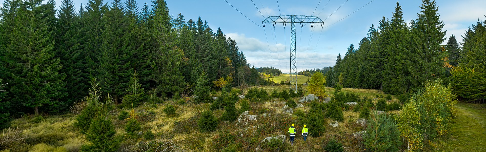 Stromtrasse in grüner Landschaft.