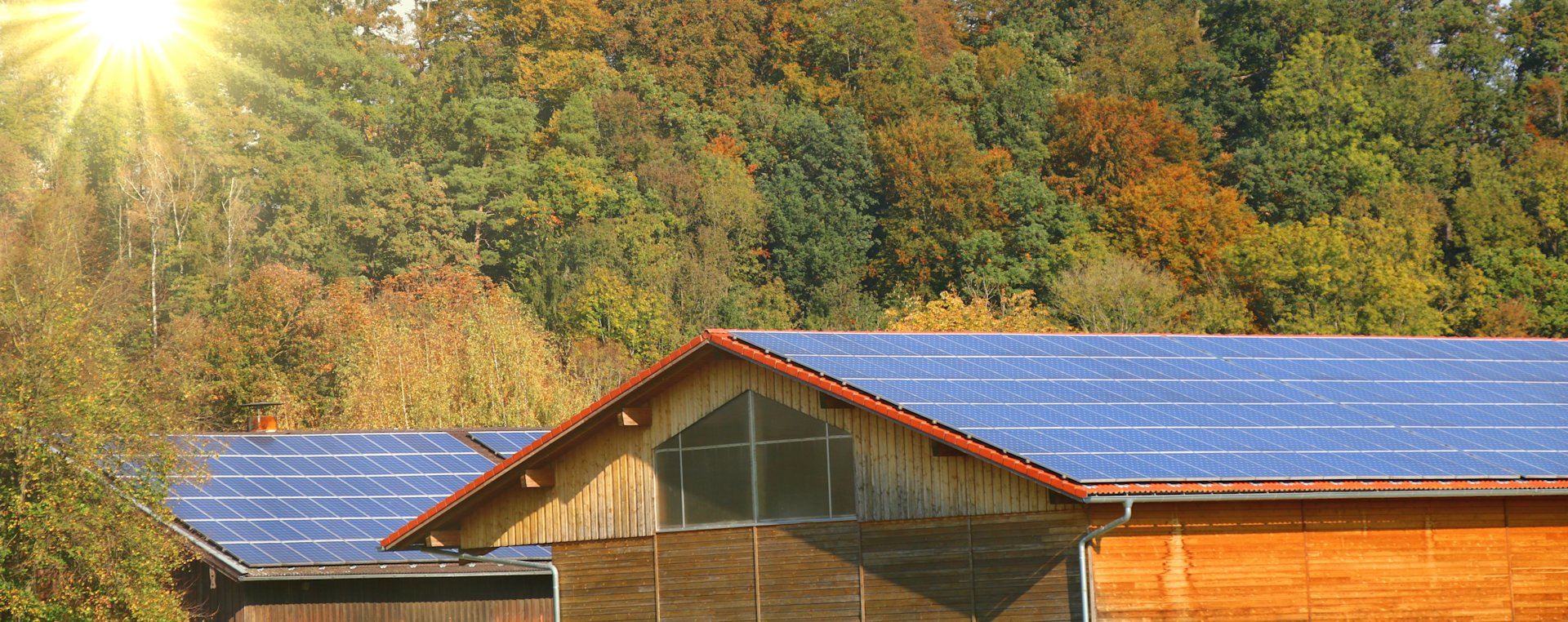 Solaranlage auf einem Holzgebäude vor herbstlichem Wald.