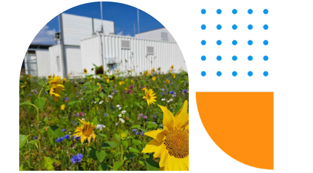 Elektrolyseur in Öhringen - eingebunden in Kernelement-Grafik der Netze BW