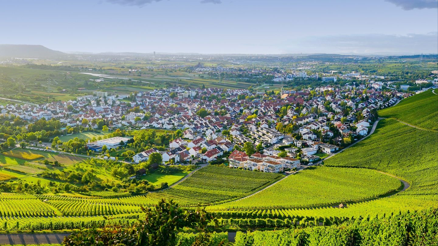 Luftbild: Weinberge & Dorf.
