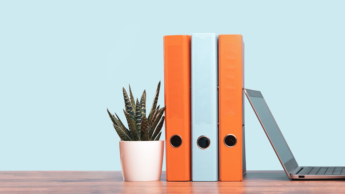 Ordner, Laptop und Sukkulente stehen auf einem Holztisch.