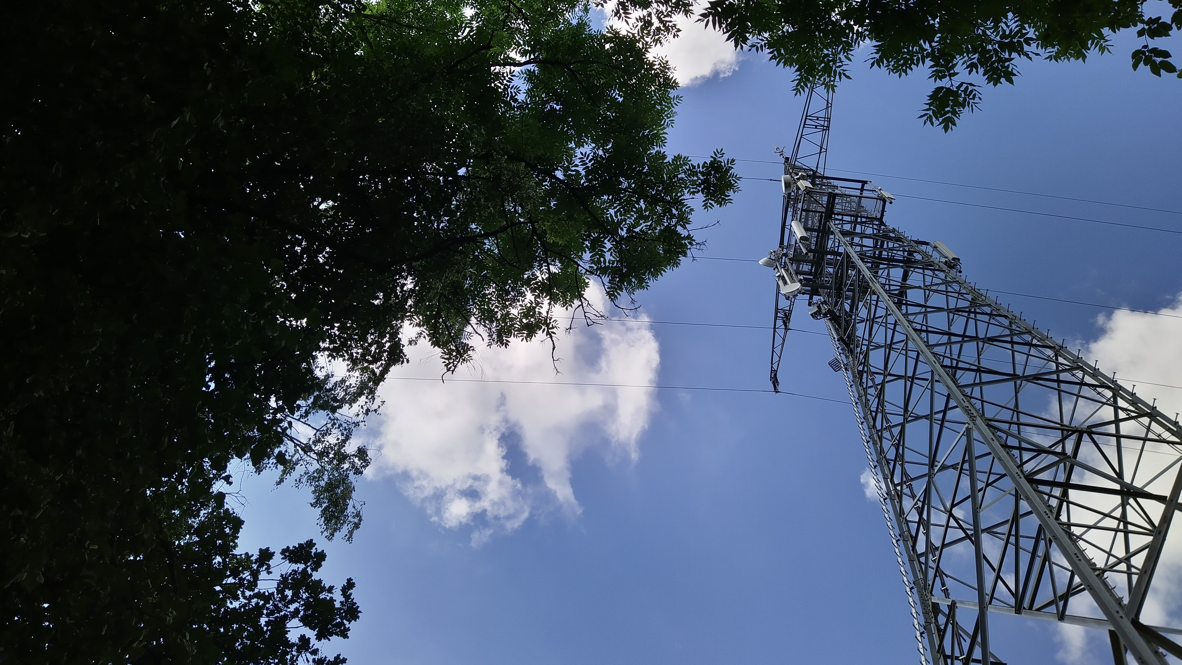 Funkmast schräg von unten fotografiert neben Laubbäumen