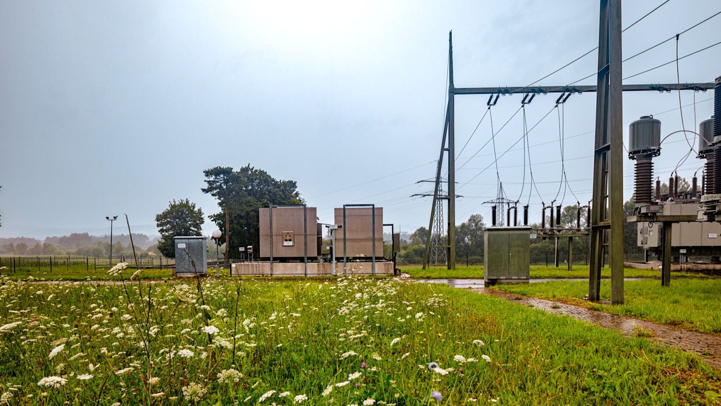 Umspannwerk mit einer Blumenwiese im Sonnenschein.