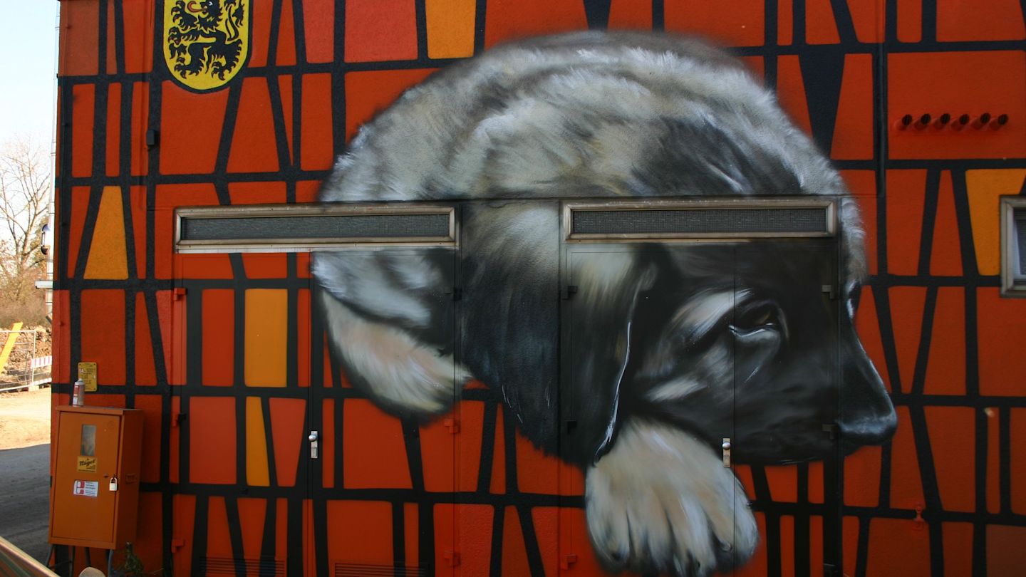 Graffiti: Hund liegt vor orange-schwarzer Wand.