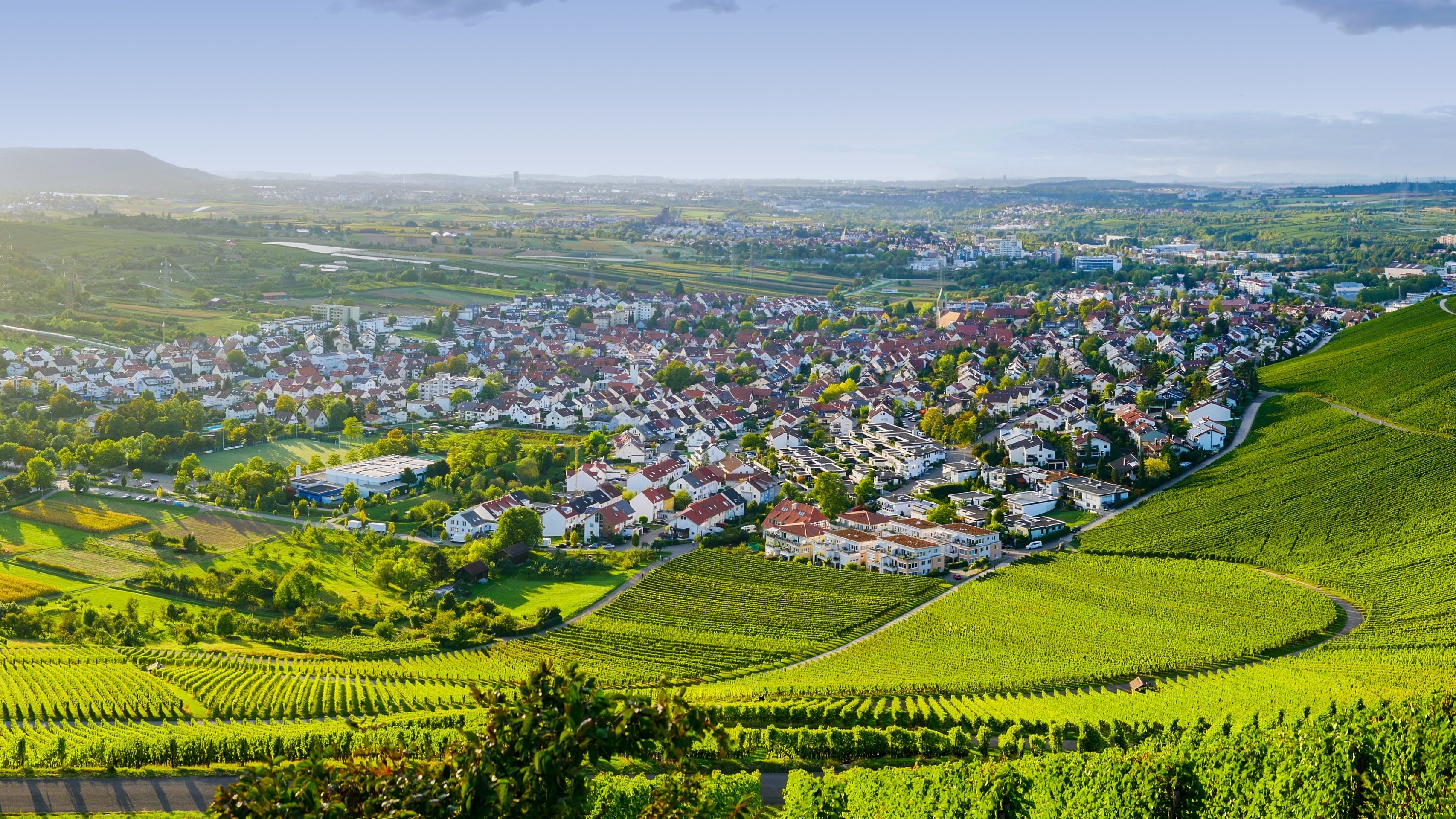 Weinberge und Dorflandschaft bei Sonnenuntergang.