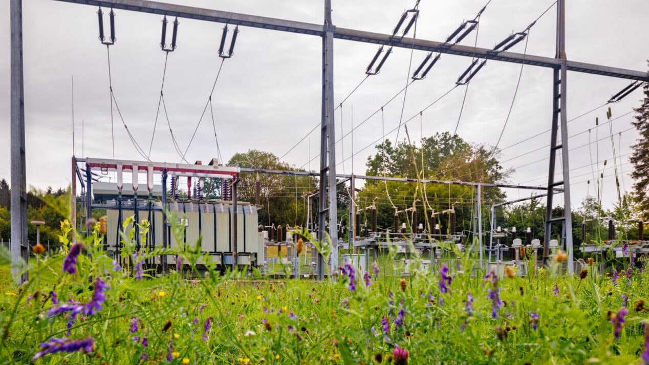 Transformatorstation mit Wildblumen.