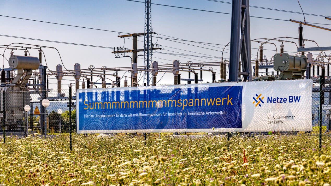 Umspannwerk mit Blumenwiese und Netze-BW-Banner  im Vordergrund.