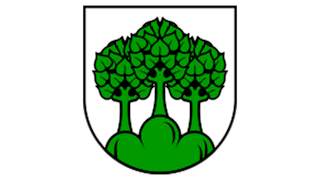 Pegelüberwachung in Hochdorf an zwei Punkten mit dem NOYSEE-System