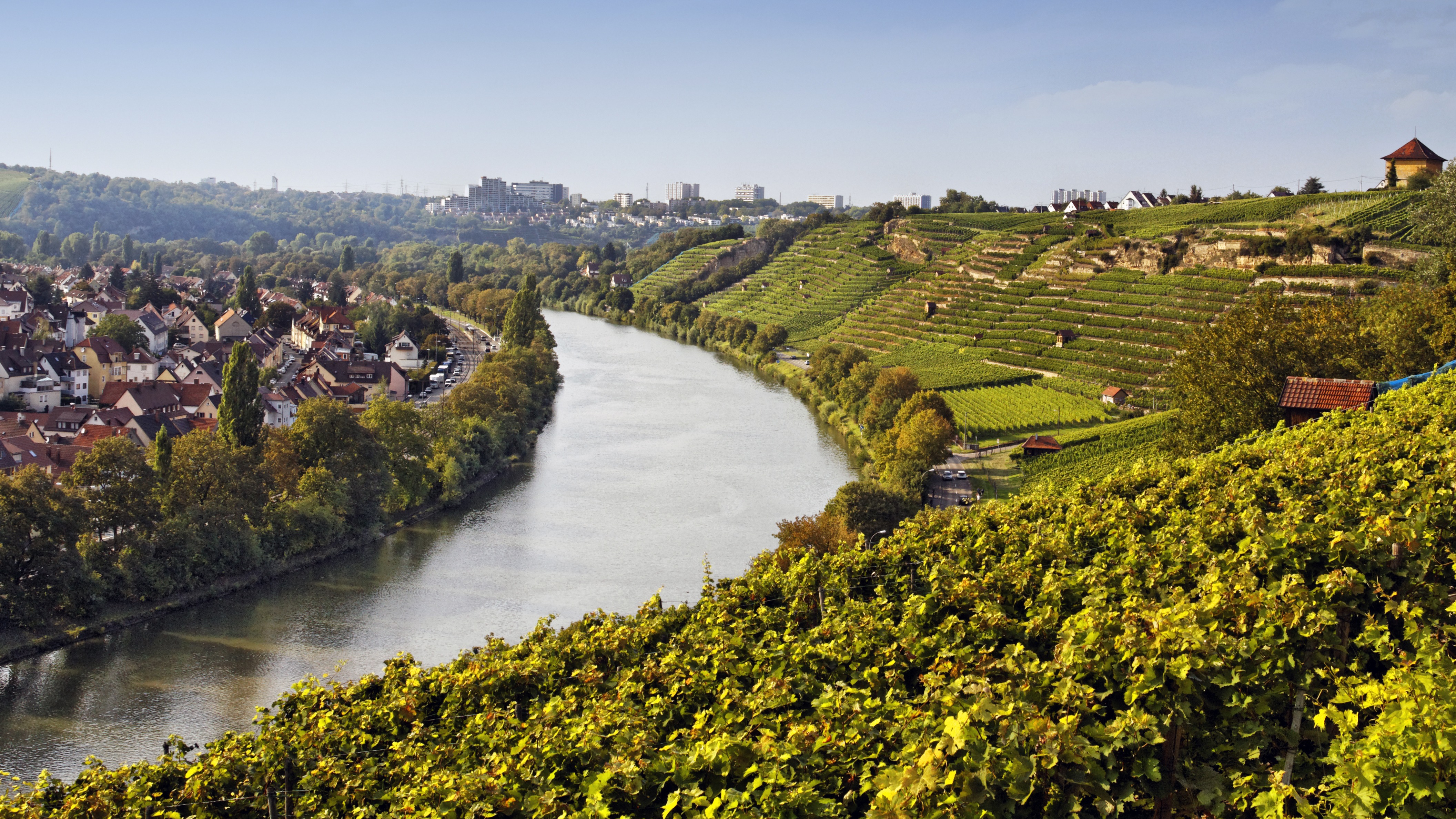 Weinberge und Flusslandschaft.
