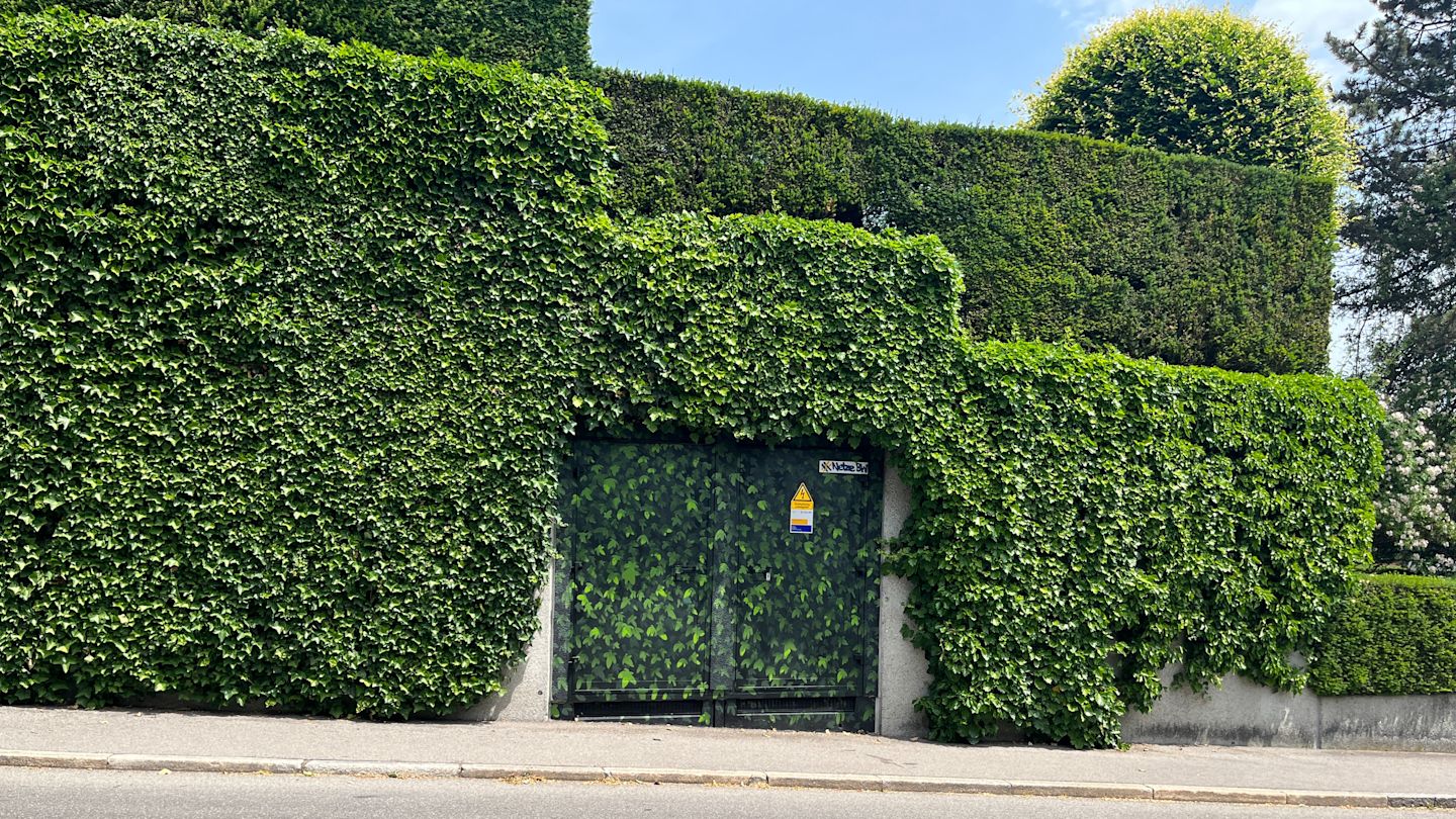 Grüne Wand mit Tür und Hinweisschild, umgeben von Efeu und grünen Hecken.
