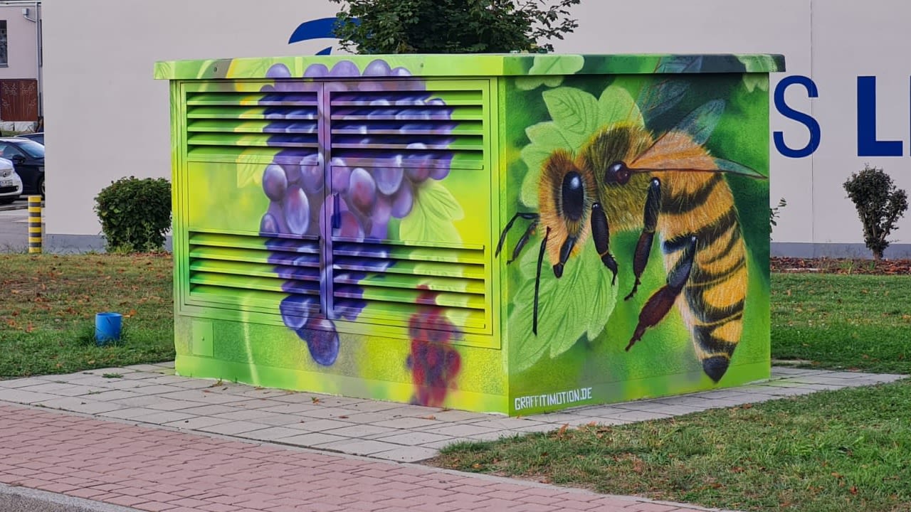 Graffiti auf einer Trafostation: Biene und Weintrauben vor grünem Hintergrund.