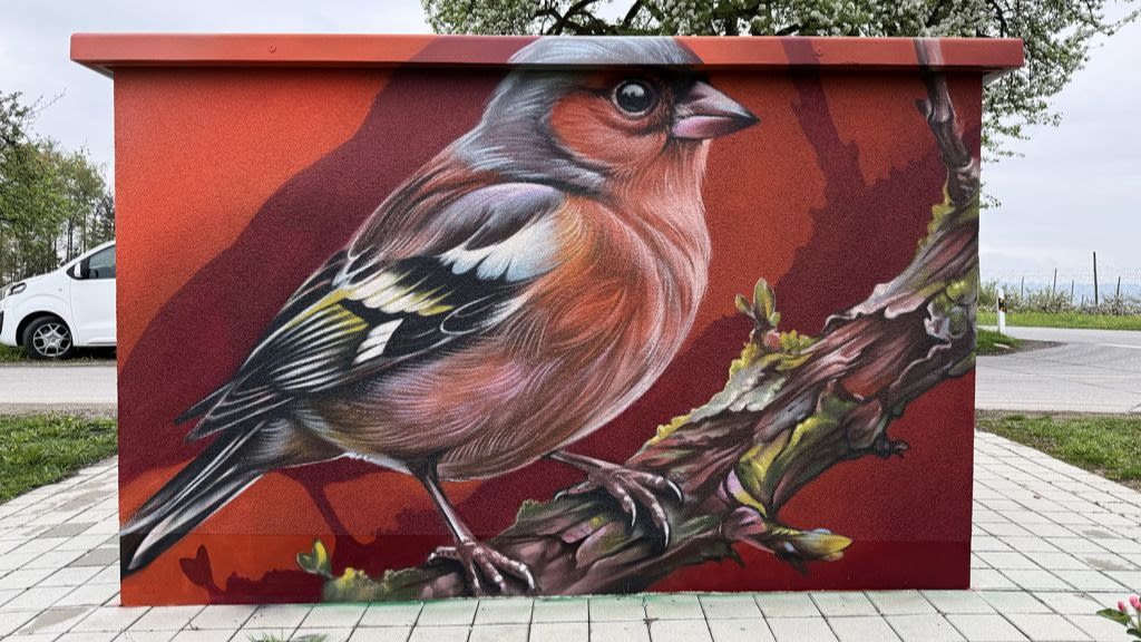 Trafostation besprüht mit einem Vogel als Motiv