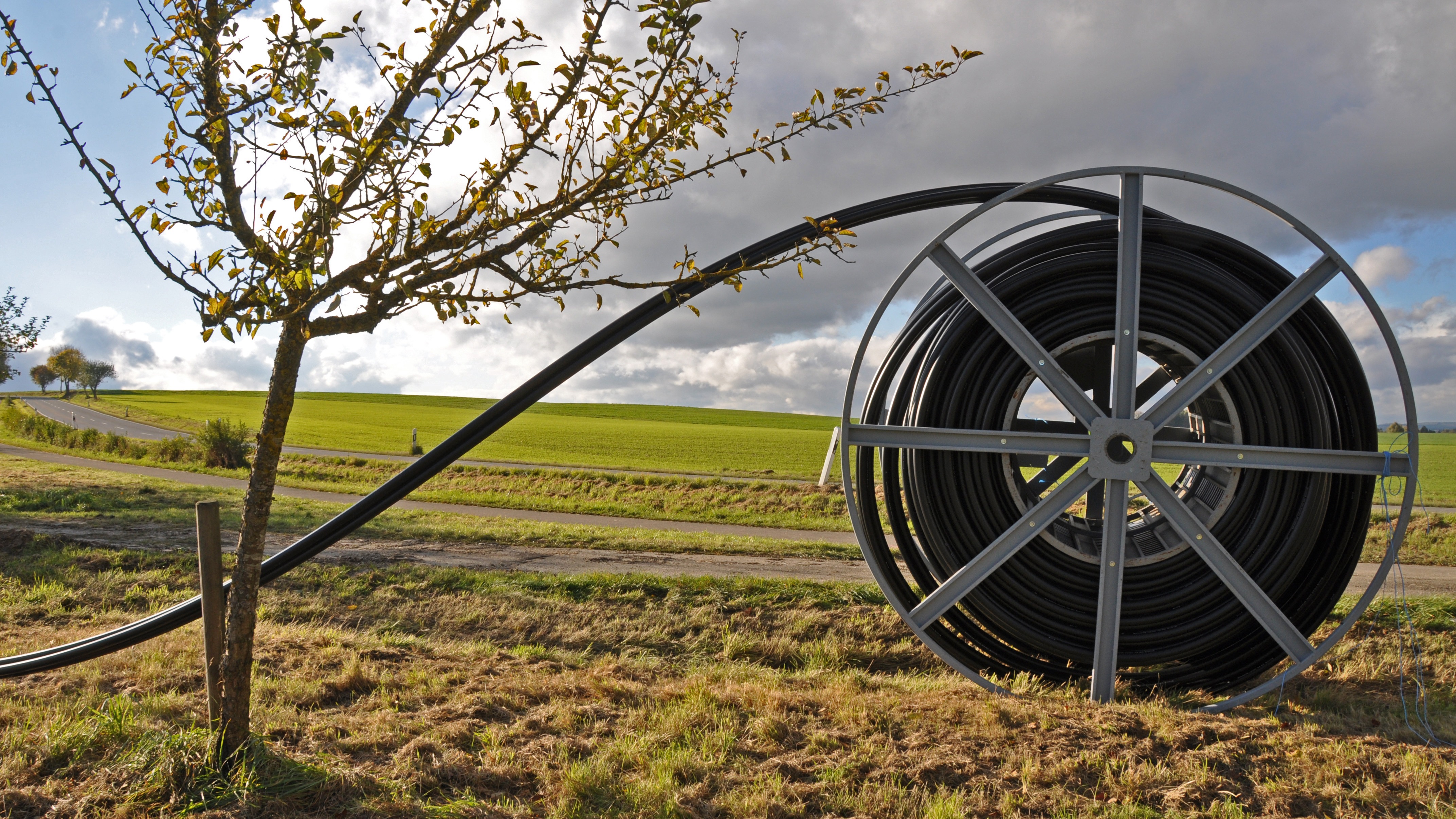 Kabel auf Spule im Feld.