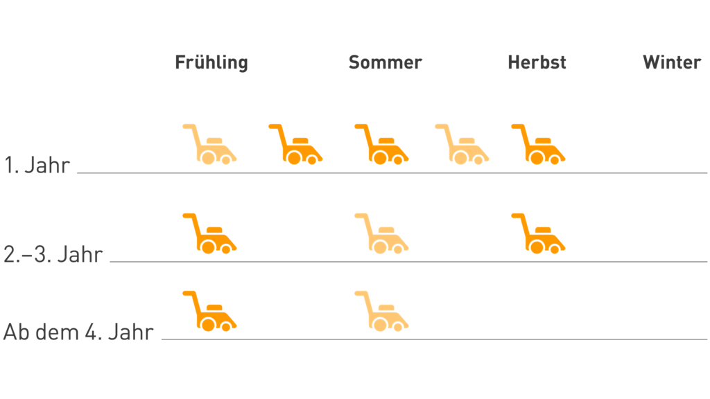 Grafik zum Pflegezyklus der Wildblumenwiesen.