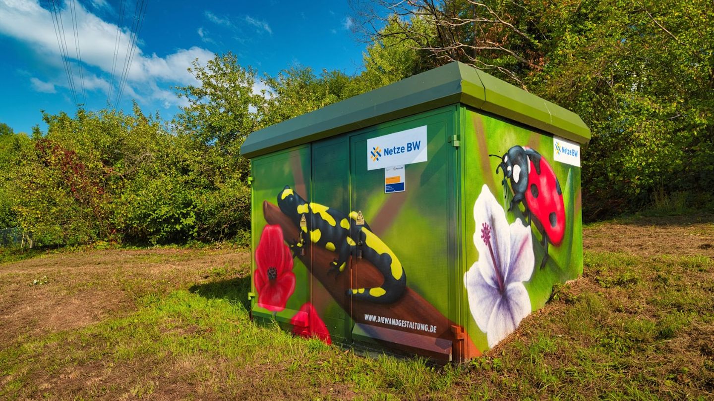 Graffiti auf Trafostation: Feuersalamander, Marienkäfer, Blumen.