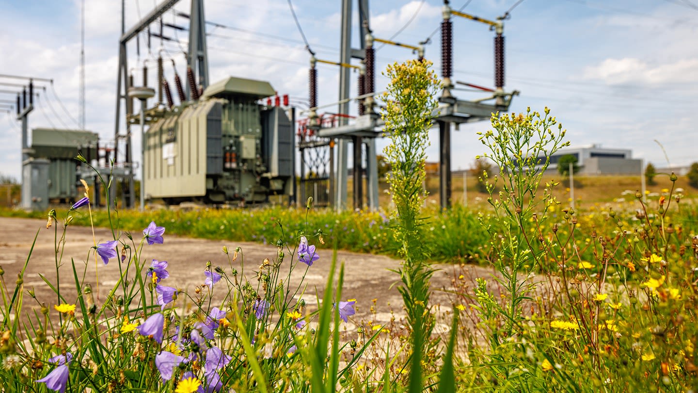 Hochspannungsmast auf grüner Wiese.
