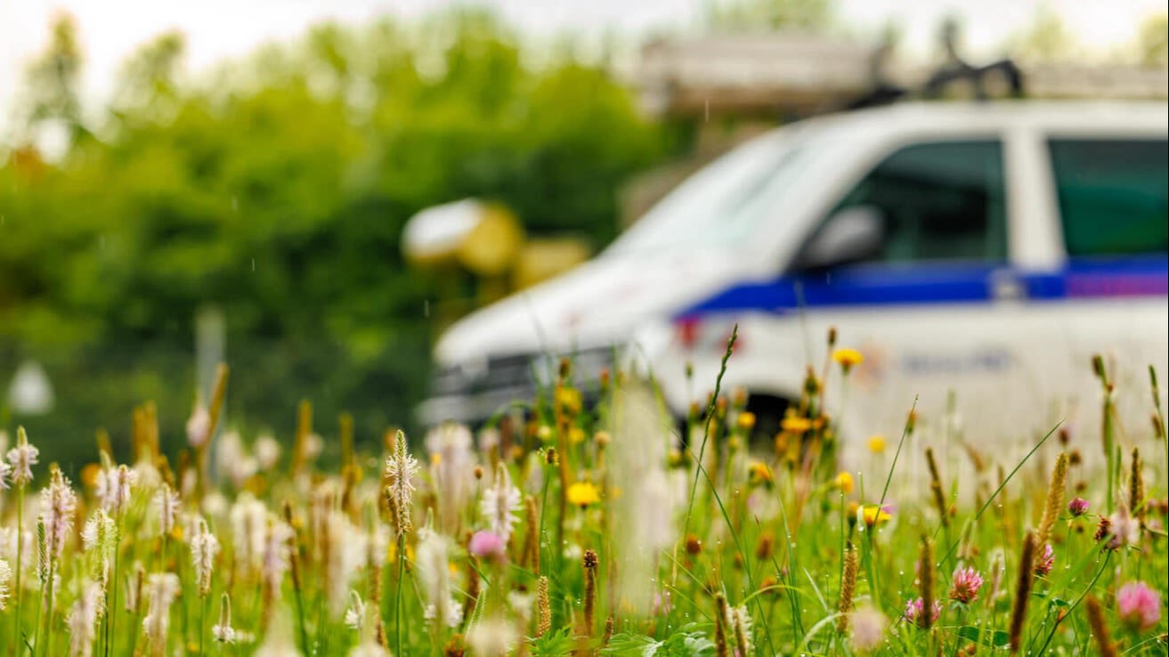 Blühende Wiese mit Netze-BW-Fahrzeug verschwommen im Hintergrund.