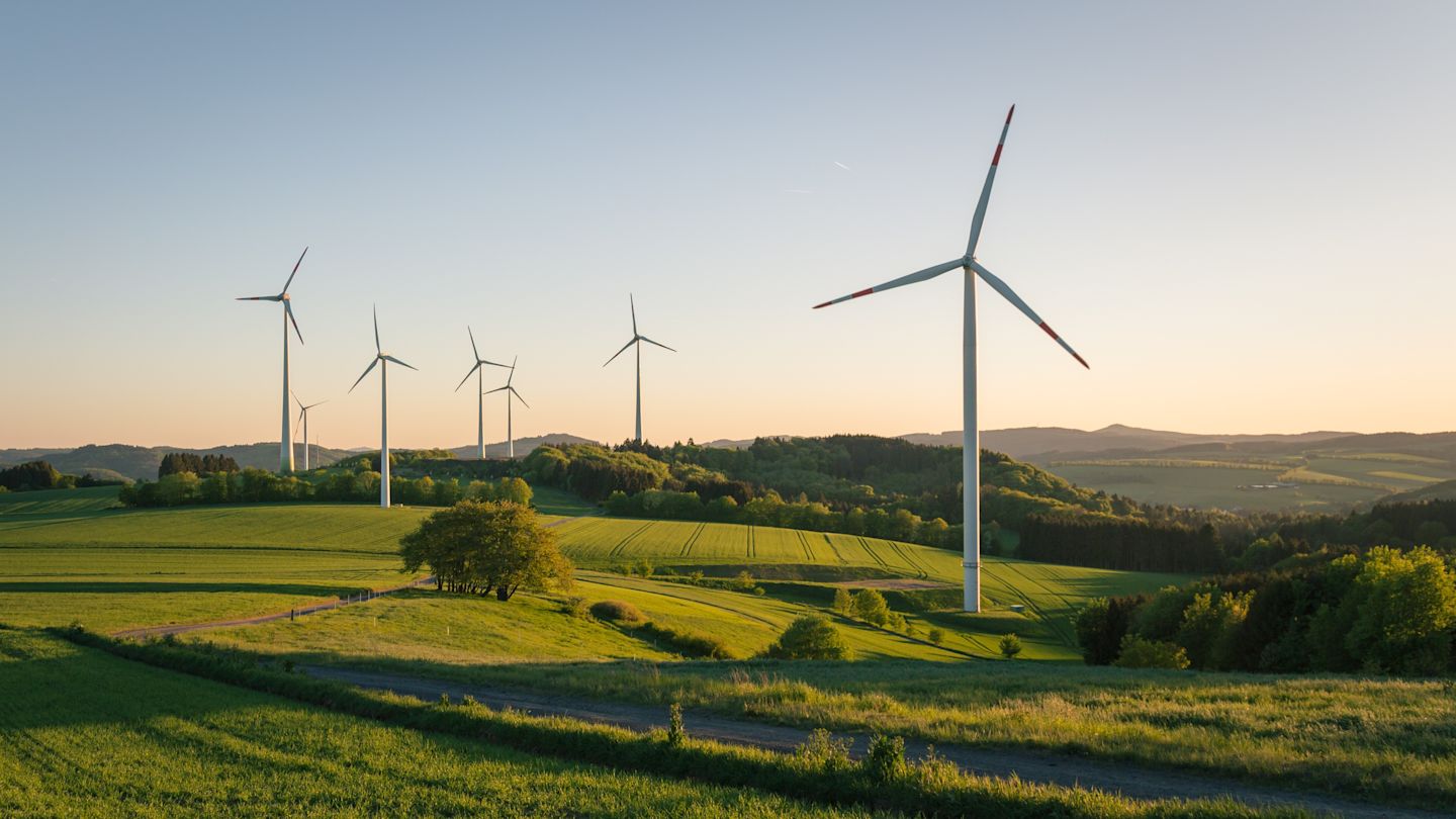 Windräder auf einer grünen Wiese bei Sonnenuntergang.
