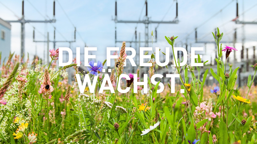 Blumenwiese vor Umspannwerk mit Text: „Die Freude wächst“.